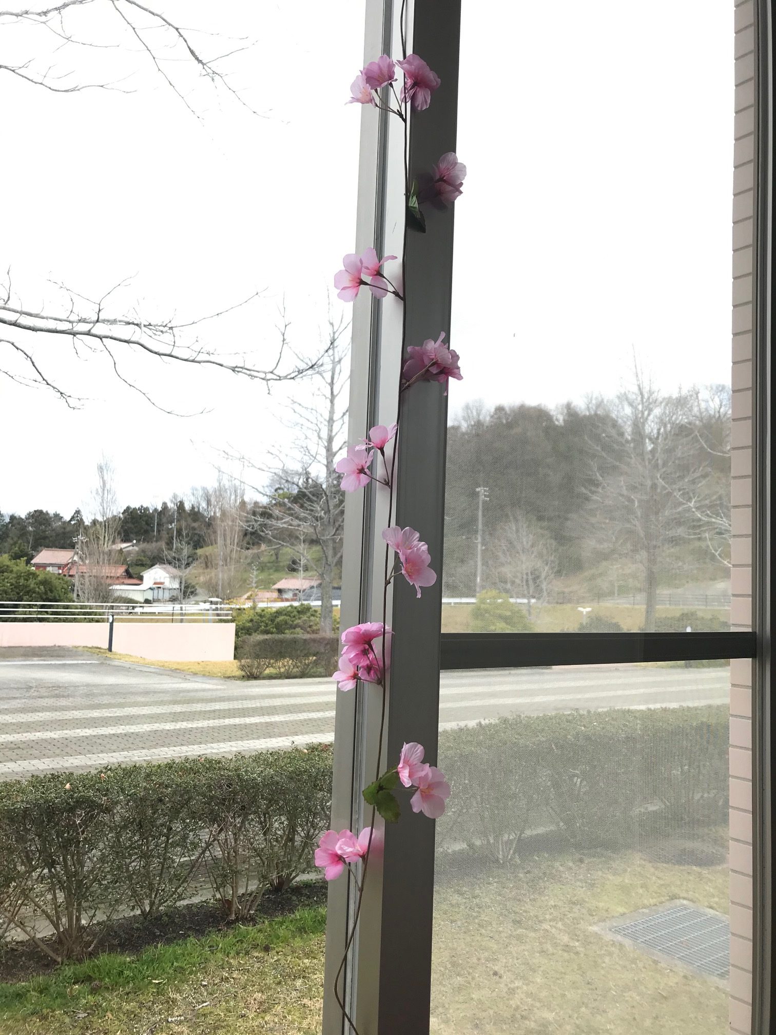 LLSR Outside window with sakura garland