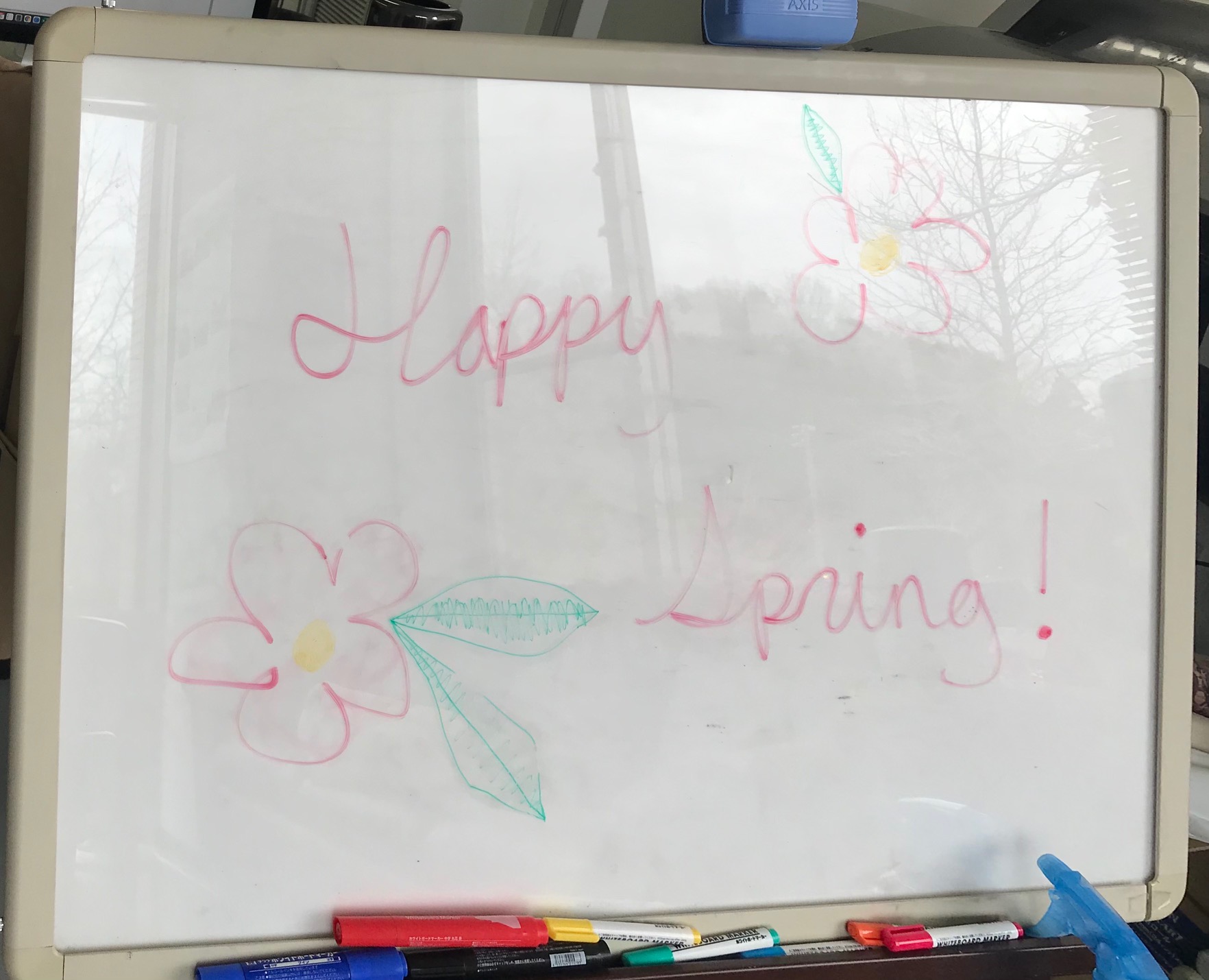 Whiteboard with happy spring message and pink flowers